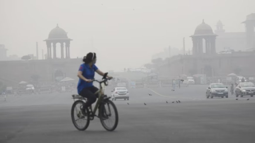 Delhi-NCR Gets Respite from Air Pollution Crisis with Timely Rainfall