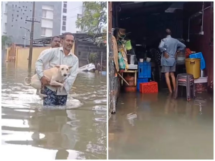 Cyclone Michaung Alert: Southern Odisha Braces for Heavy Rainfall After Andhra Pradesh Landfall