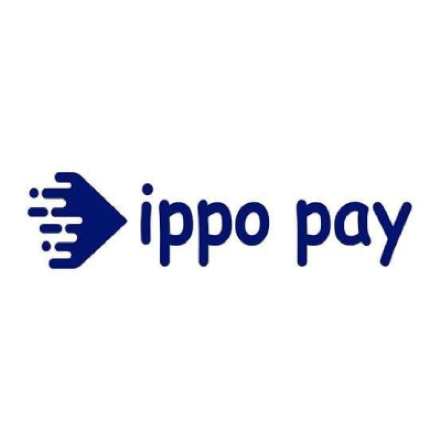 IppoPay Forms Strategic Partnership with Visa to Propel Financial Inclusion for Small Businesses