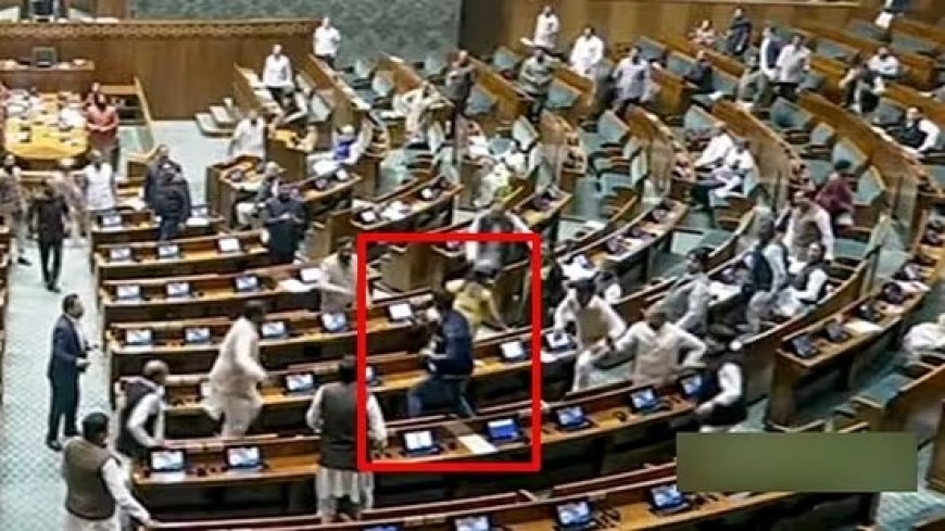 Intruders Spark Chaos in Lok Sabha on Parliament Attack Anniversary: Eyewitness Accounts Unfold