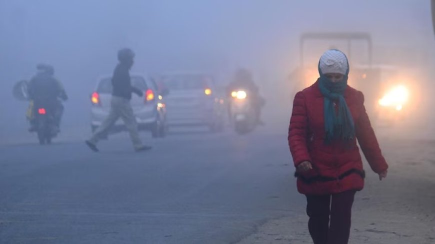 IMD Weather Update: Persistent Dense Fog and Cold Wave in Northern States, Rain Showers Forecast for the South, Snowfall Expected in Hilly Regions